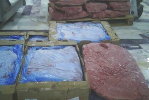 Kayseri'de 2 ton tavuk eti imha edildi!