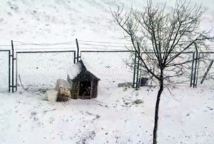 Sivas'ta kar ya etkili oldu!