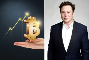 Musk, Tesla'nn Bitcoin satn yalanlad
