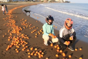 Mersinde sahil portakal doldu