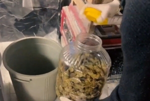 Örgüt çökertildi: 31 kişi yakalandı