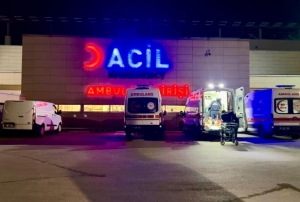 Pitbull dehşeti: Çocuğun yüzü paramparça oldu