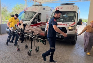 Yılanı vurmak isterken 5 kişiyi yaraladı