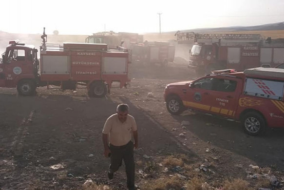 Felahiye'de 500 dekar alan yanarak kl oldu