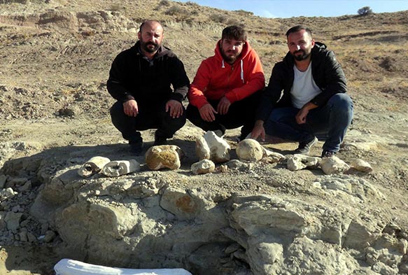 Kayseri'de 7,5 milyon yllk yeni fosil bulundu