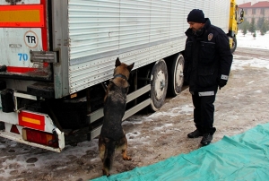 Dondurma kutularndan tam 317 bin paket kaak sigara kt