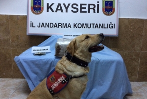 Kayseri'de uyuturucu operasyonlar