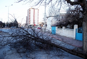 Kayseri'de iddetli rzgar etkili oldu