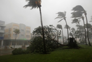 Florida'da Irma Kasrgas'ndan 6 ki