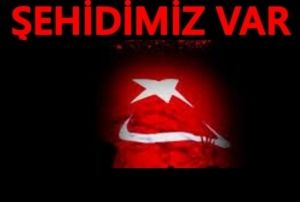 Afrin ehidinin naana 58 gn sonra ulald