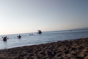 Korkutan deniz canls