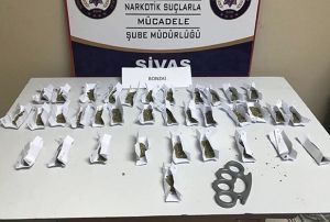 Sata hazr bonzai ele geirildi