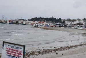 Denizde korkun grnt