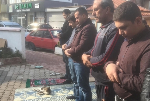 Cami cemaatinin kedi sevgisi takdir toplad