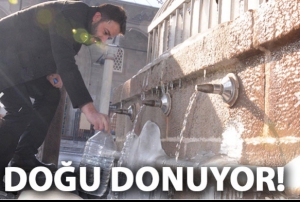 Dou Donuyor..