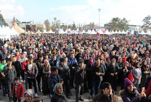 Hamsi Festivali sona erdi