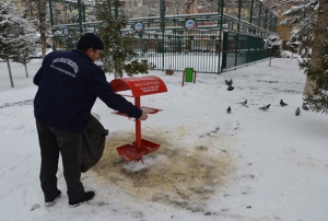 Melikgazi'de sokak hayvanlar unutulmad