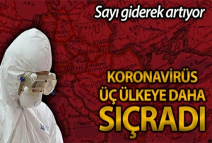 Norve'te ilk korona virs vakas