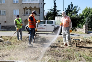 Talas Belediyesinin farkl uygulamalarna bir yenisi daha eklendi