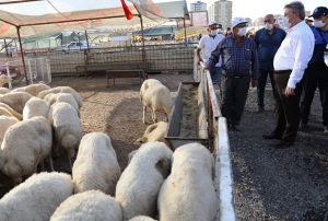 Bakan Palancolu, Serkent kurban pazar denetiminde