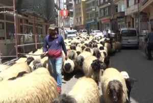 Havalar snd, yayla g balad