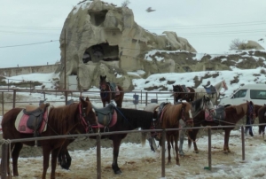 Kapadokya'da herkes at koturamayacak