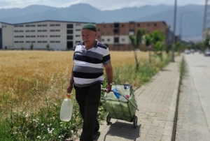 Sokak sokak gezip her yere meyve fidan dikiyor