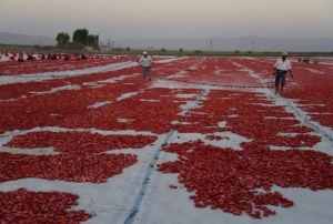 Erciyes'in etekleri krmzya boyand