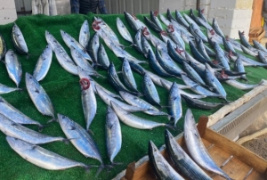 Olumsuz deniz koşulları balığın fiyatını artırdı