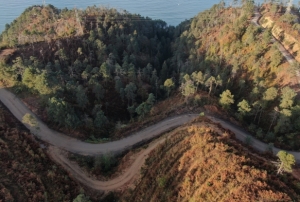 Uzmanlardan 'Dou Karadeniz iin yangn sezonu yaklayor' uyars