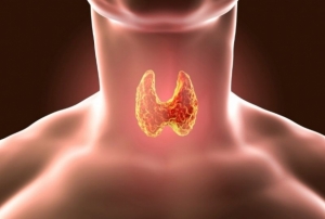 Tiroid Hastalar Nasl Beslenmeli? Nelere Dikkat Etmeli? 