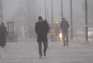 Balk tketimi k mevsiminin neden olduu depresyonu nleyebilir