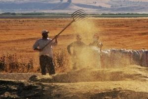 Tarmsal girdi fiyat endeksi bir ylda yzde 112,41 artt