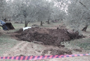 Hayvan gbresinin iinde kadn cesedi bulundu