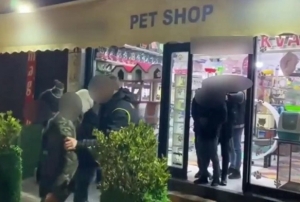 Pet Shop'ta Dzensiz Gmen Operasyonu