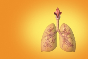 Yılda 30 Bin Kişi Akciğer Kanseri Oluyor