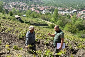 Sahayı Adım Adım Dolaşıyorlar!