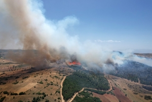 Manisa'da Yangın Ormana Sıradı