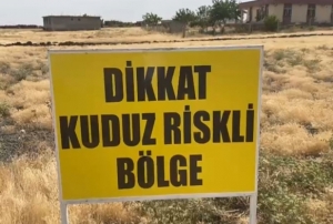 Bir Kuduz Vakası Daha!