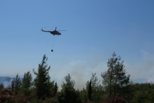 anakkale'de Tarihi Yangın 