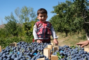 Cimin zm Hastalıklara Şifa!