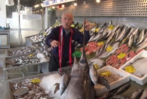 Palamut ve kılı balığı bolluğu tezgahla