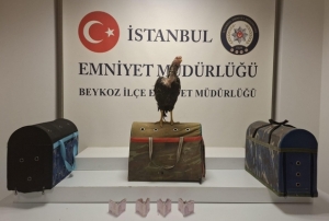 21 kiiye 194 bin lira ceza!
