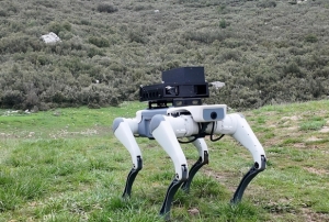 Robotik kpek atlm: 