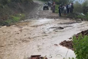 25 kkba hayvan telef oldu