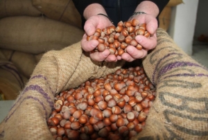 Fndkta stoklar eriyor, yeni sezonun yolu alyor