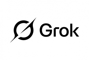 Grok'a soruturma balatld!
