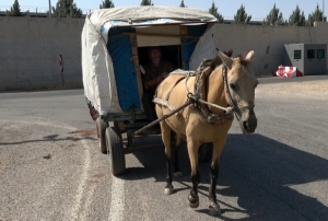 erilik mesleini 20 yldr srdryor