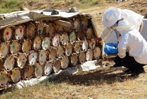 Kresel snma arclar tedirgin ediyor
