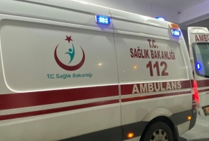 Domuz sanp ate etti, komusunu vurdu
